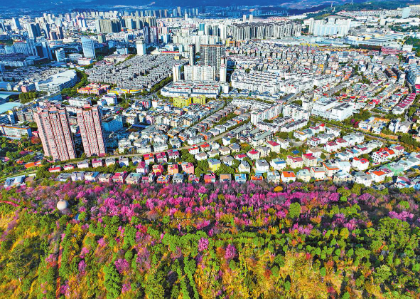 QQ图片20240117091221.png QQ图片20240117091221.png