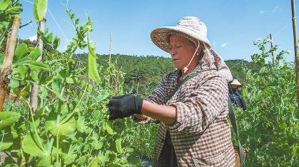 QQ图片20240208085100.png QQ图片20240208085100.png