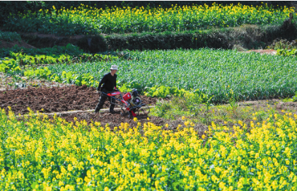 QQ图片20240227083655.png QQ图片20240227083655.png