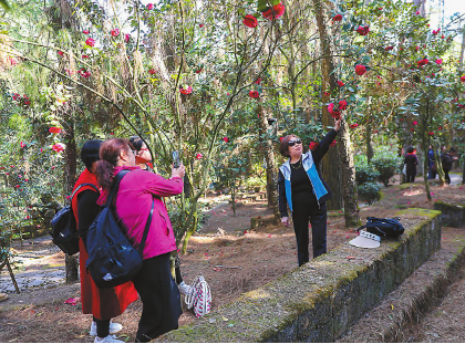 QQ图片20240301084258.png QQ图片20240301084258.png