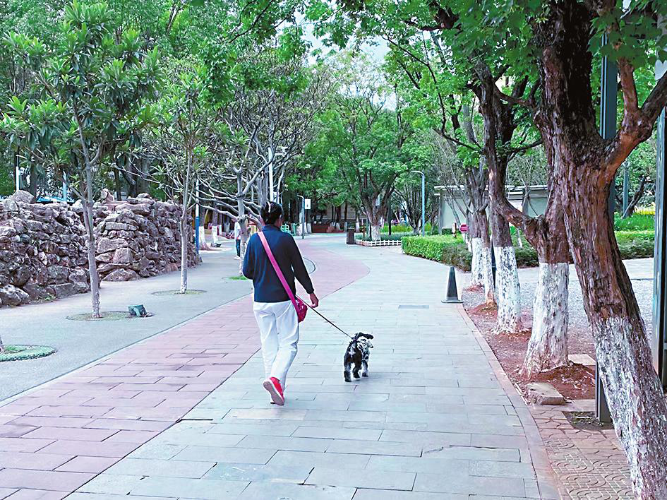 图片1.png 图片1.png