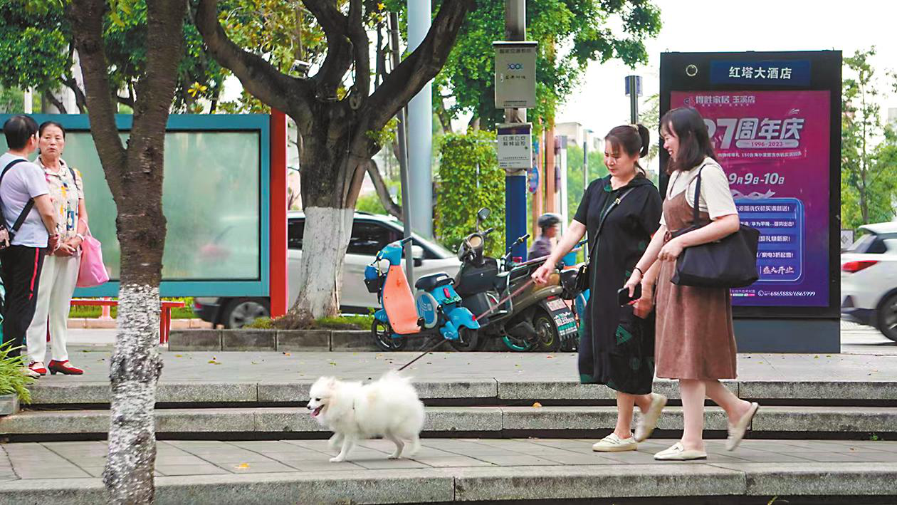 图片1.png 图片1.png