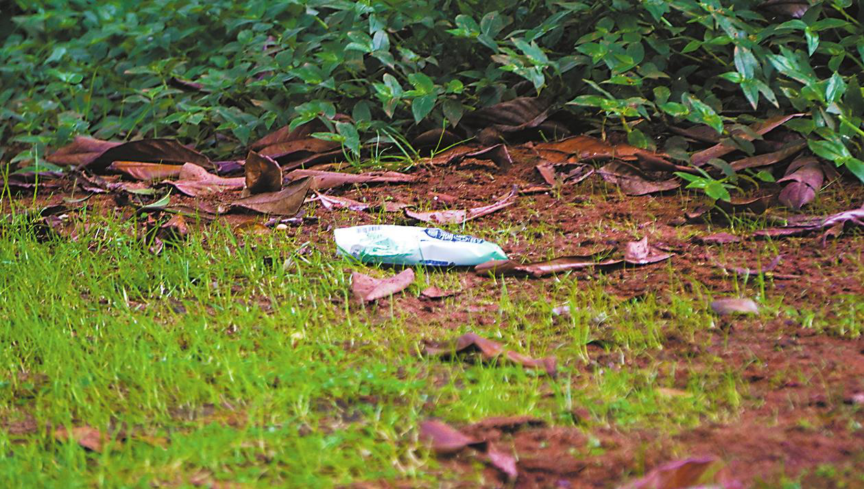 图片1.png 图片1.png