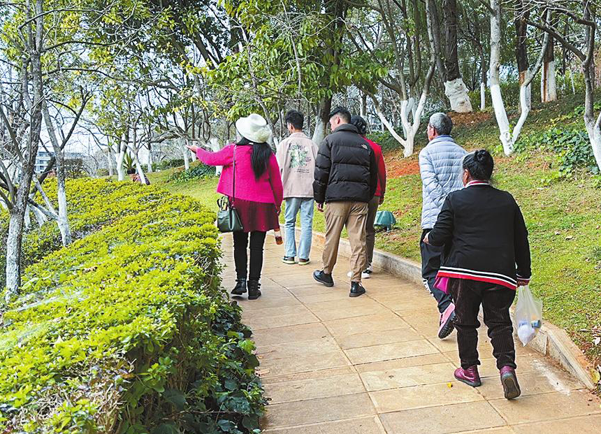 图片1.png 图片1.png