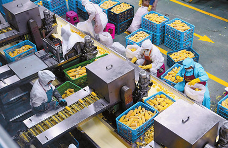 49 (1).jpg 49 (1).jpg