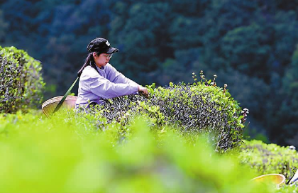 QQ图片20240402082346.png QQ图片20240402082346.png