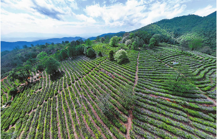 QQ图片20240402082402.png QQ图片20240402082402.png