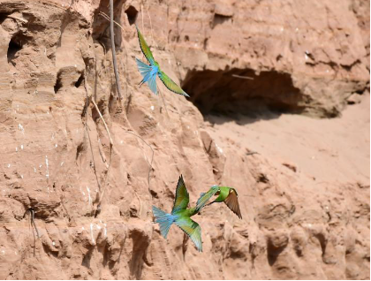 QQ图片20240506085812.png QQ图片20240506085812.png