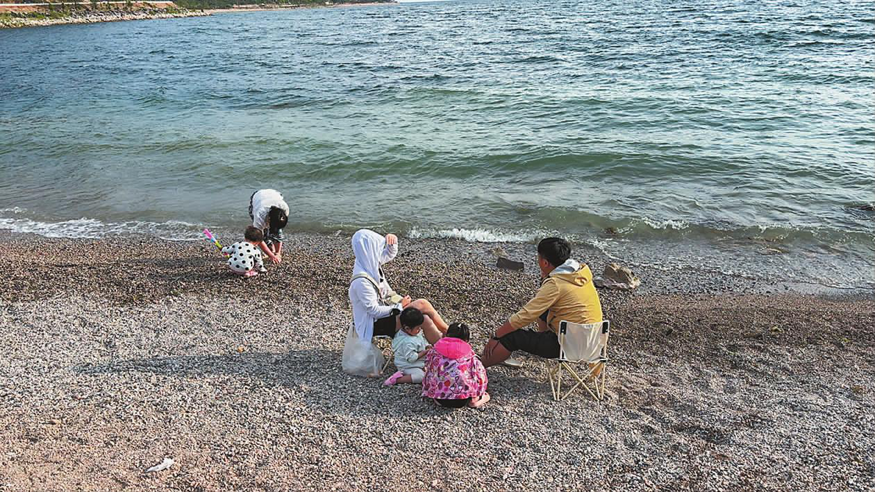 图片1.png 图片1.png