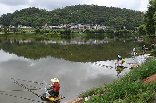 绿美乡村入画来.jpg 绿美乡村入画来.jpg