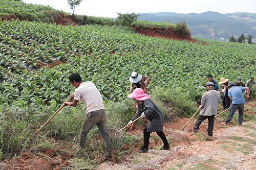 义务修路保生产.jpg 义务修路保生产.jpg