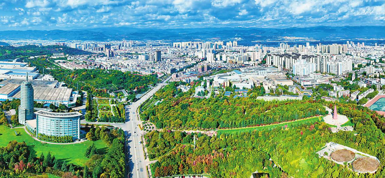 图片1.png 图片1.png