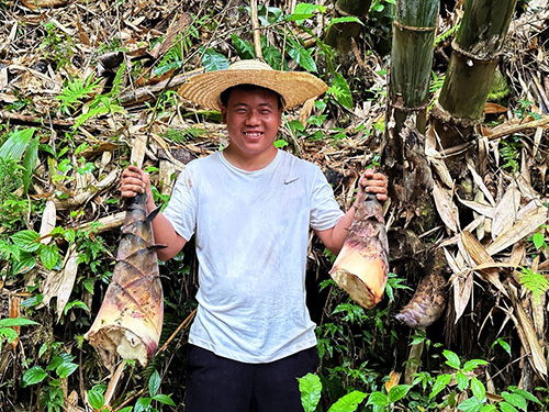 竹笋丰收销路不愁.jpg 竹笋丰收销路不愁.jpg