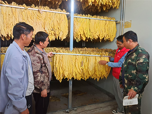 小石桥乡第一炉烟叶出炉.jpg 小石桥乡第一炉烟叶出炉.jpg