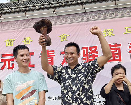 元江青龙驿菌香美食文化节举行.jpg 元江青龙驿菌香美食文化节举行.jpg