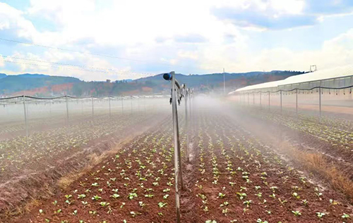 华宁县宁州街道:立足优势谋发展 补齐短板出实招.jpg 华宁县宁州街道:立足优势谋发展 补齐短板出实招.jpg