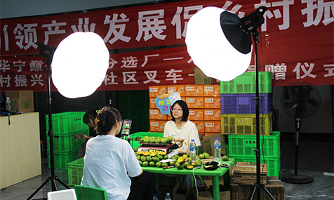 华宁早熟柑橘上市.jpg 华宁早熟柑橘上市.jpg