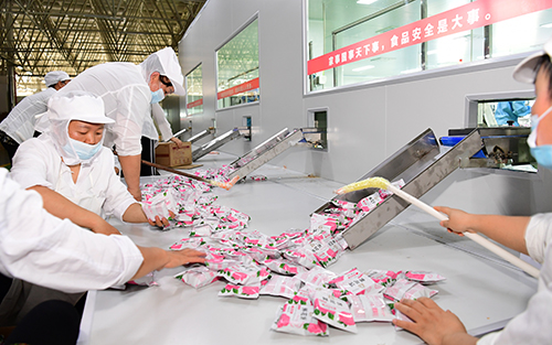 绿色食品加工忙 带动就业促增收.jpg 绿色食品加工忙 带动就业促增收.jpg