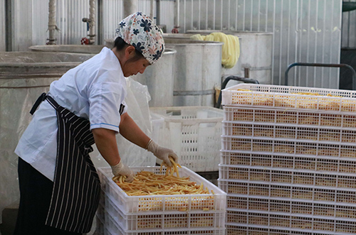 鲜笋破土采收忙 村办企业促增收.jpg