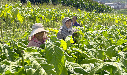 新平7.jpg 新平7.jpg