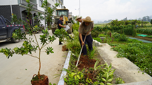增植添绿建美家园.jpg