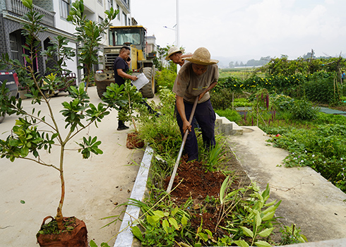 增植添绿建美家园.jpg 增植添绿建美家园.jpg