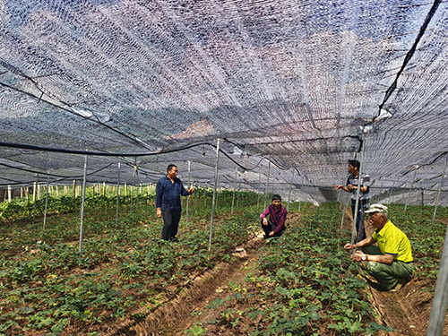 双江街道打造经济发展“强引擎”.jpg 双江街道打造经济发展“强引擎”.jpg