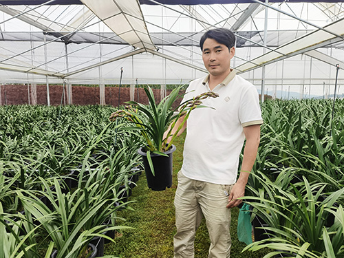 兰科植物推动乡村振兴“一路生花”.jpg 兰科植物推动乡村振兴“一路生花”.jpg