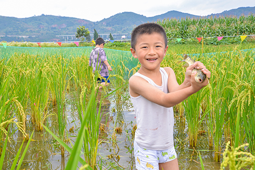 宁海街道打造农文旅产业融合发展新品牌1.jpg 宁海街道打造农文旅产业融合发展新品牌1.jpg