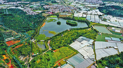 研和街道南湖公园成新晋打卡点.jpg 研和街道南湖公园成新晋打卡点.jpg