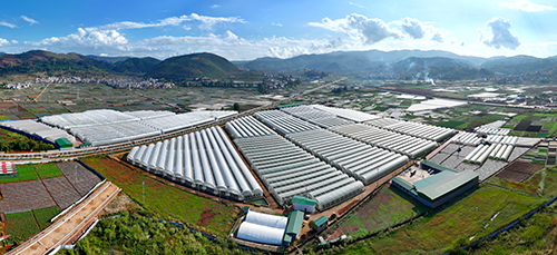 华宁大力发展现代设施农业.jpg 华宁大力发展现代设施农业.jpg
