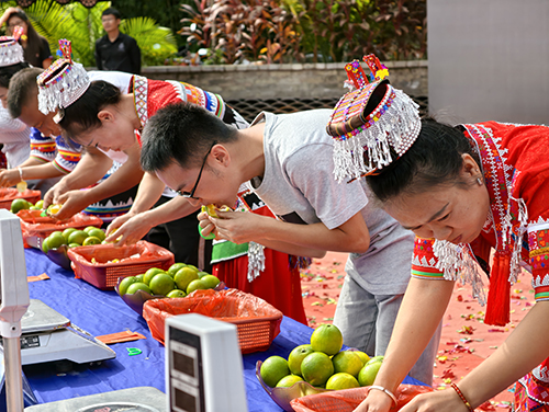 水塘镇举办柑橘丰收节.jpg 水塘镇举办柑橘丰收节.jpg