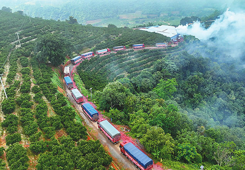 哀牢山冰糖橙发货啦.jpg 哀牢山冰糖橙发货啦.jpg