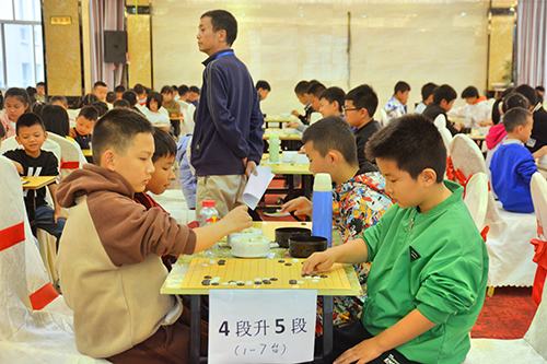452名小棋手精彩对弈.jpg 452名小棋手精彩对弈.jpg