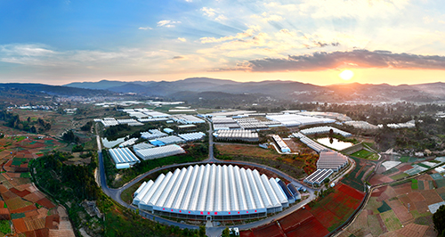 “四抓”工作激活玉溪发展动力.jpg “四抓”工作激活玉溪发展动力.jpg