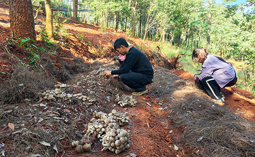 激发生态旅游新活力.jpg 激发生态旅游新活力.jpg