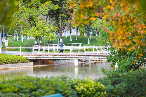 有一种幸福叫在玉溪过冬2.jpg 有一种幸福叫在玉溪过冬2.jpg