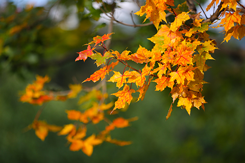 有一种幸福叫在玉溪过冬.jpg 有一种幸福叫在玉溪过冬.jpg