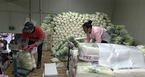 搭乘“钢铁巨龙” 奏响发展新乐章5.jpg 搭乘“钢铁巨龙” 奏响发展新乐章5.jpg