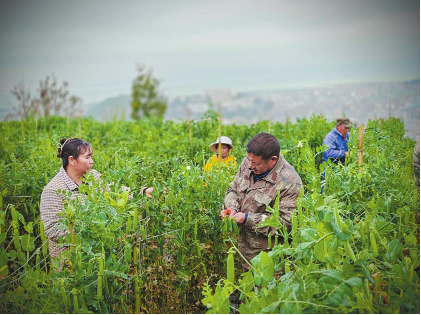 QQ图片20241212091938.png QQ图片20241212091938.png