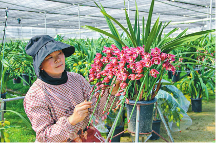 QQ图片20241217103302.png QQ图片20241217103302.png