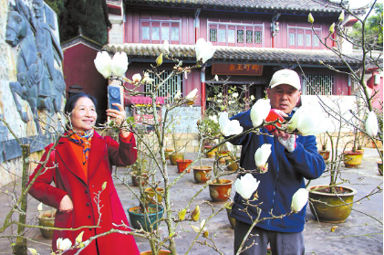 QQ图片20250103092808.png QQ图片20250103092808.png