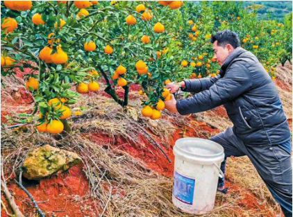 QQ图片20250123093657.png QQ图片20250123093657.png