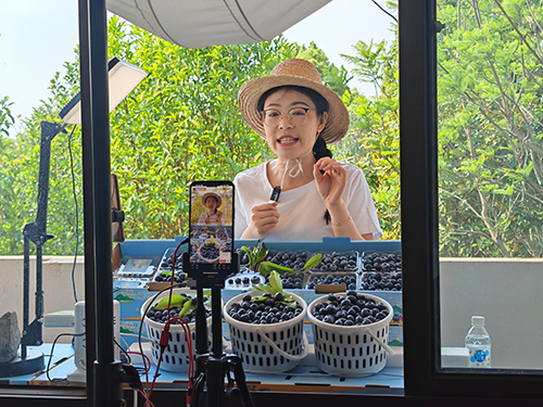 澄江市凝聚“新兴力量”激活发展动能.jpg 澄江市凝聚“新兴力量”激活发展动能.jpg