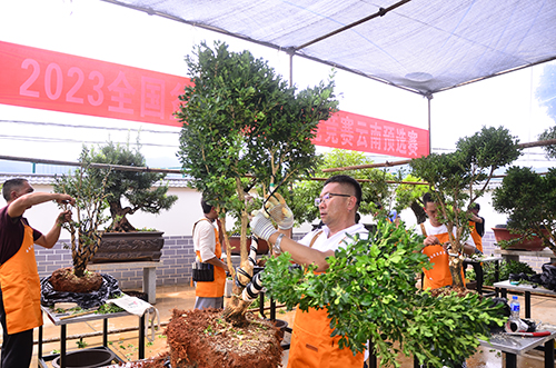 玉溪市不断提升人才适应发展服务发展质效3.jpg 玉溪市不断提升人才适应发展服务发展质效3.jpg