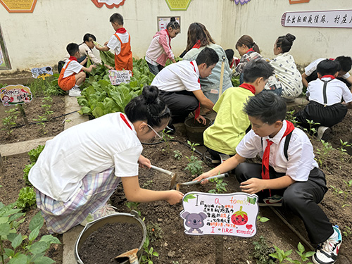 劳动教育促成长.jpg 劳动教育促成长.jpg