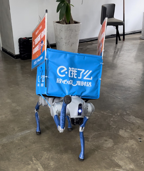 玉溪机器狗“外卖员”上岗.jpg 玉溪机器狗“外卖员”上岗.jpg