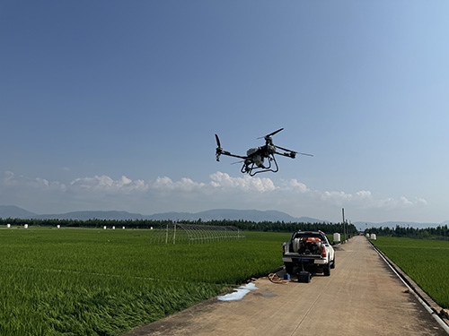 无人机“上岗”护航水稻丰产.jpg 无人机“上岗”护航水稻丰产.jpg