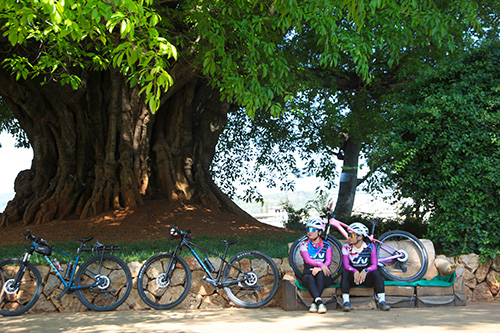 路居古榕,演绎人湖树共生共荣千年神话.jpg 路居古榕,演绎人湖树共生共荣千年神话.jpg