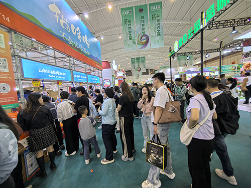 玉溪农产品闪耀南博会.jpg 玉溪农产品闪耀南博会.jpg